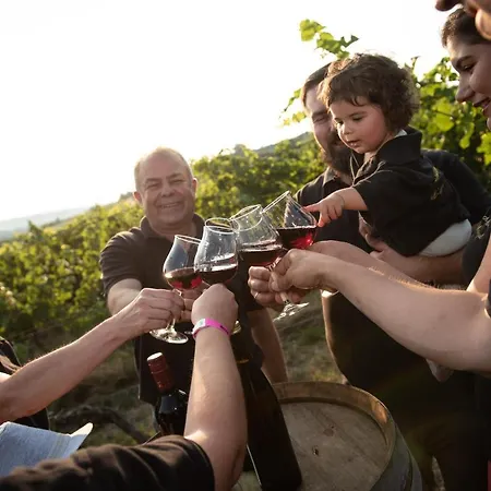 Hotel Weinschloesschen Im Weingut Roos Ilbesheim
