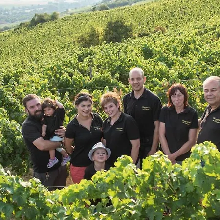 Weinschloesschen Im Weingut Roos Ilbesheim
