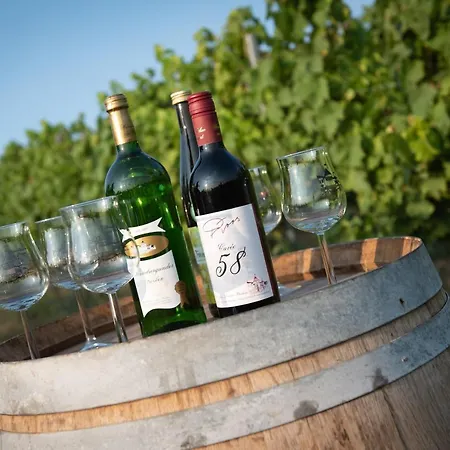 Hotel Weinschloesschen Im Weingut Roos Ilbesheim