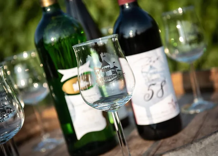 Weinschloesschen Im Weingut Roos Hotell 3*