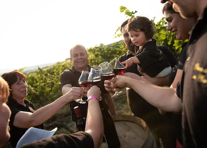 Hotell Weinschloesschen Im Weingut Roos Ilbesheim