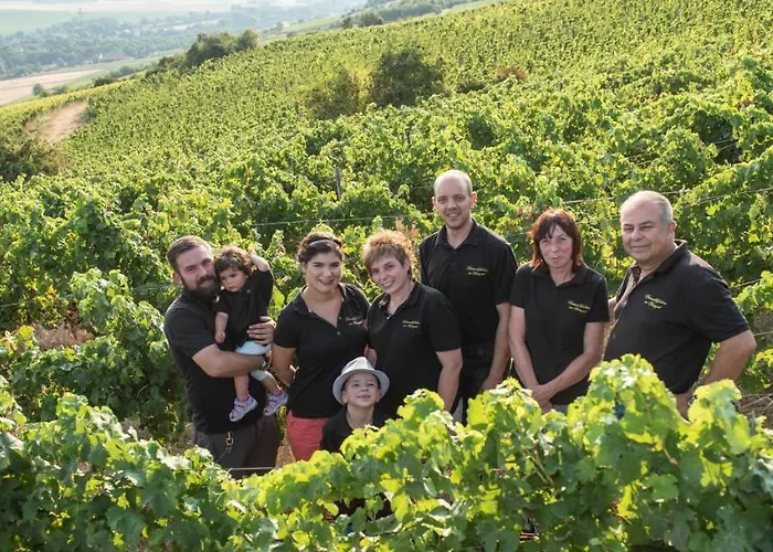 Weinschloesschen Im Weingut Roos Ilbesheim