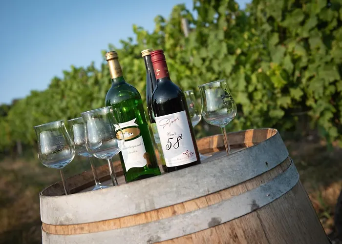 Hotell Weinschloesschen Im Weingut Roos Ilbesheim